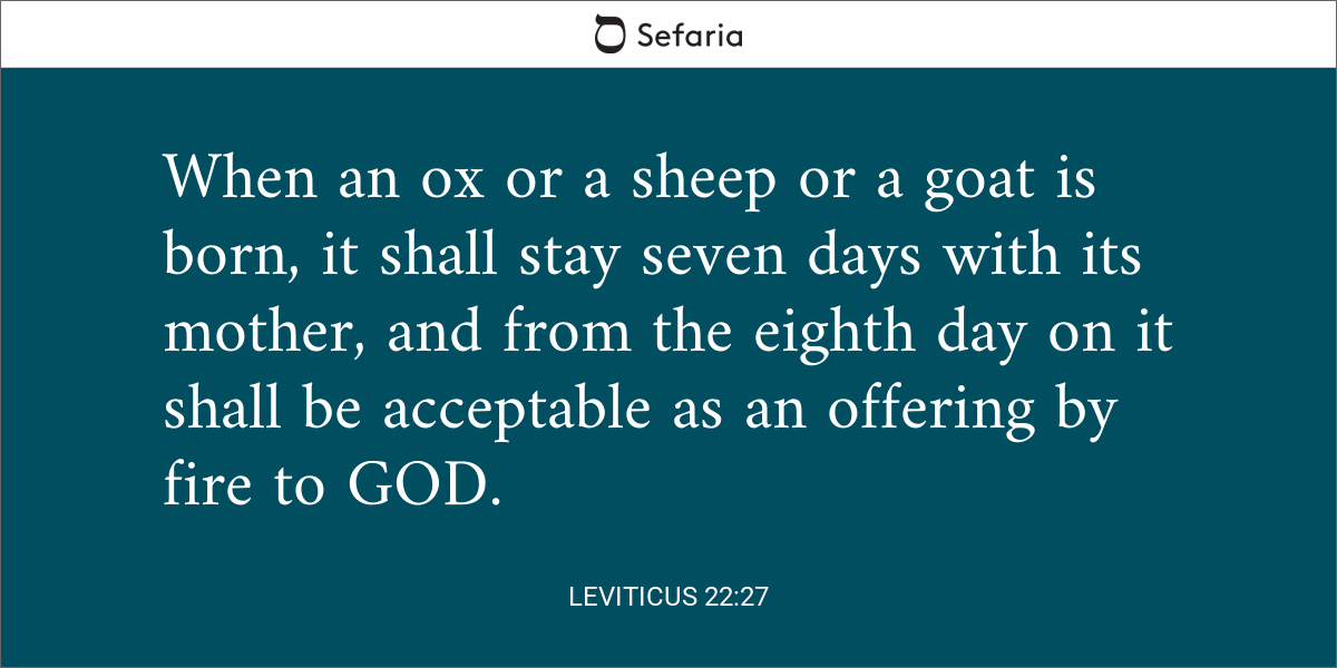 Leviticus 22:27