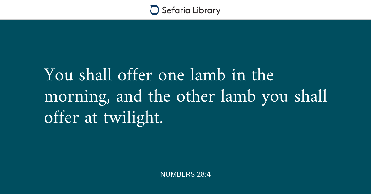 Numbers 28 4