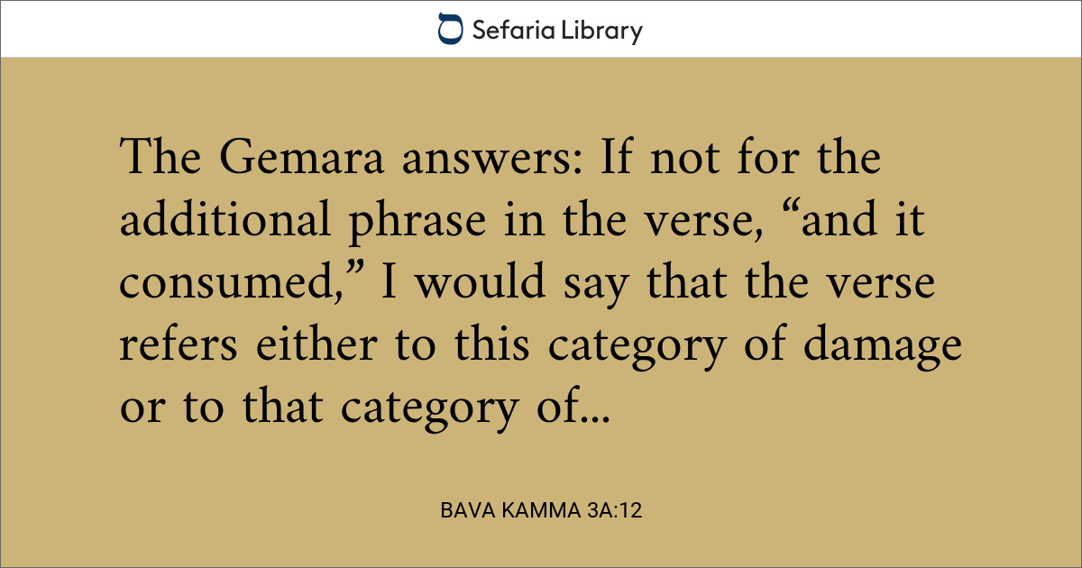Bava Kamma 3a:12