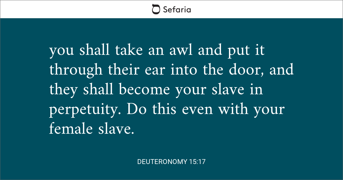 Book of Deuteronomy visual data 5