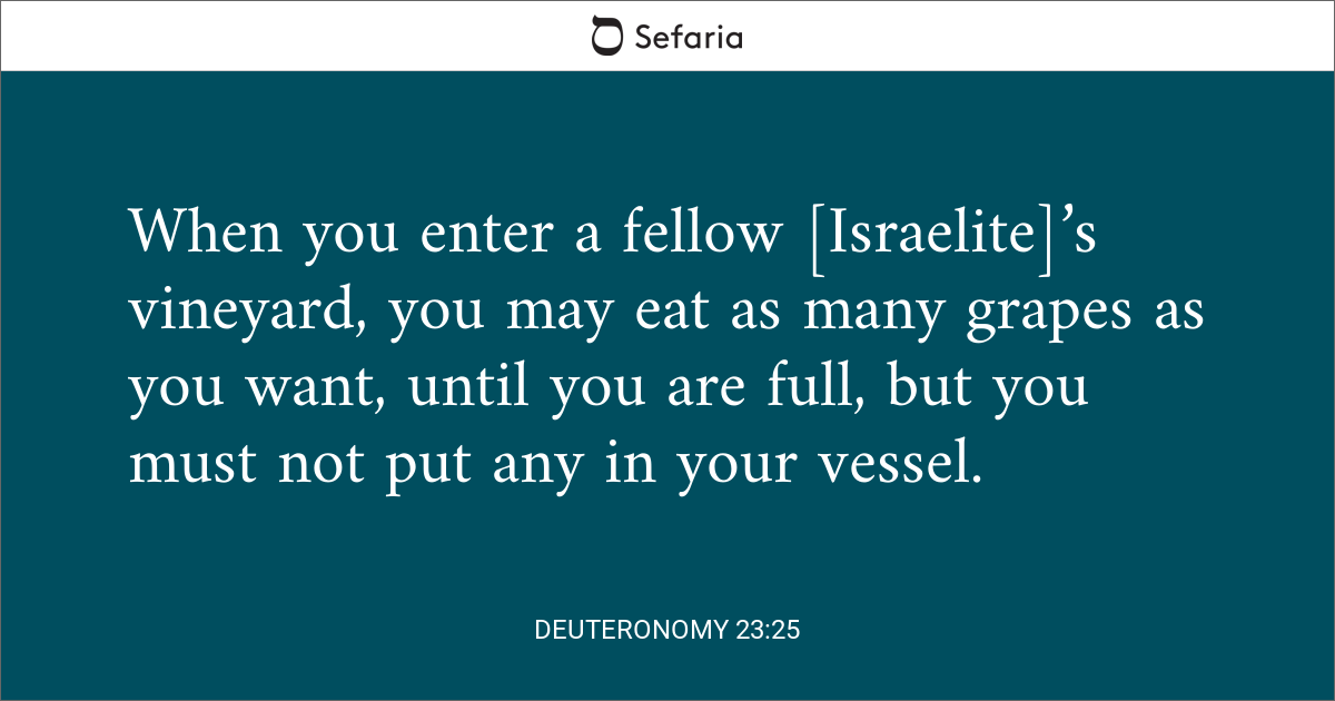 Deuteronomy 2325
