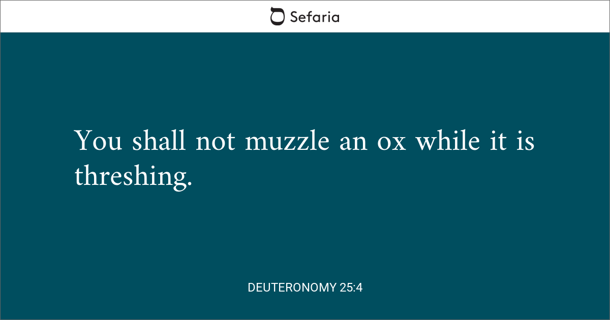 Deuteronomy 25:4