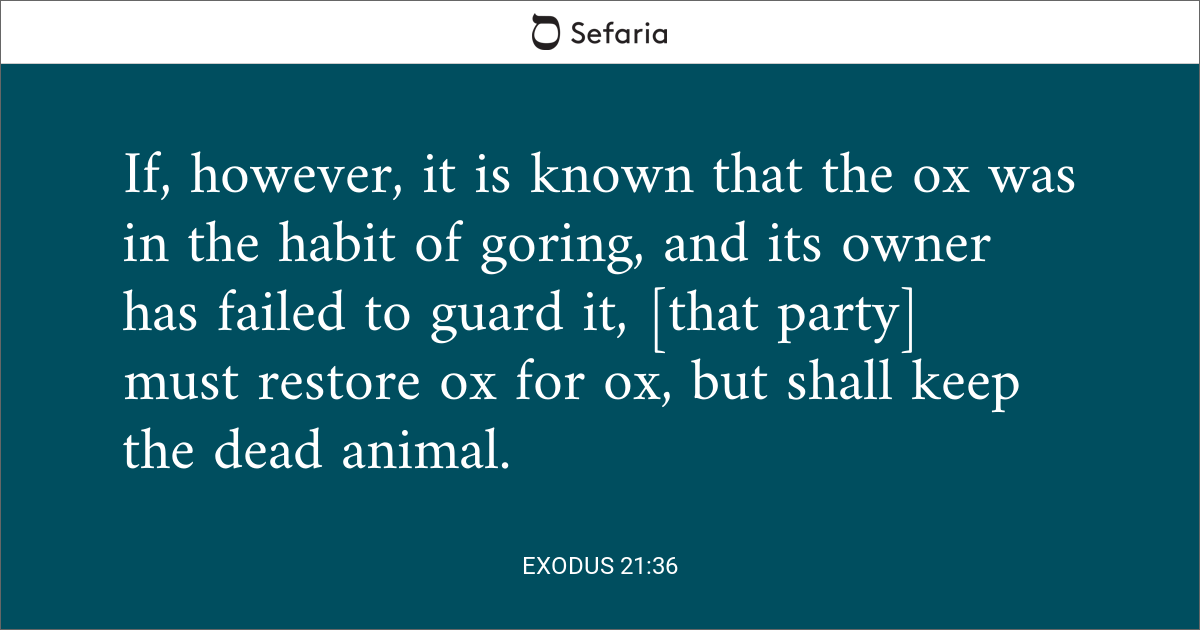 Exodus 21 36 Sefaria Library