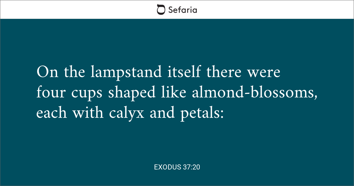 Exodus 37 20