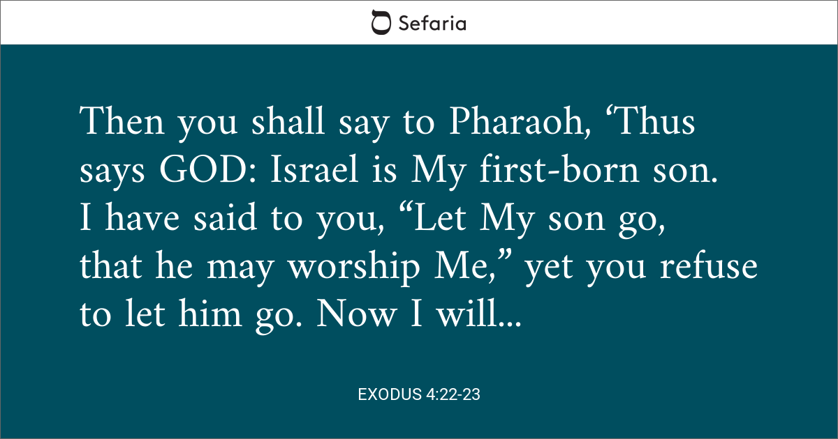 exodus-4-22-23