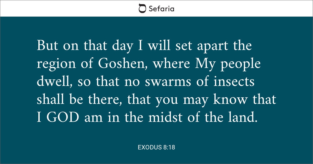 Exodus 8 18