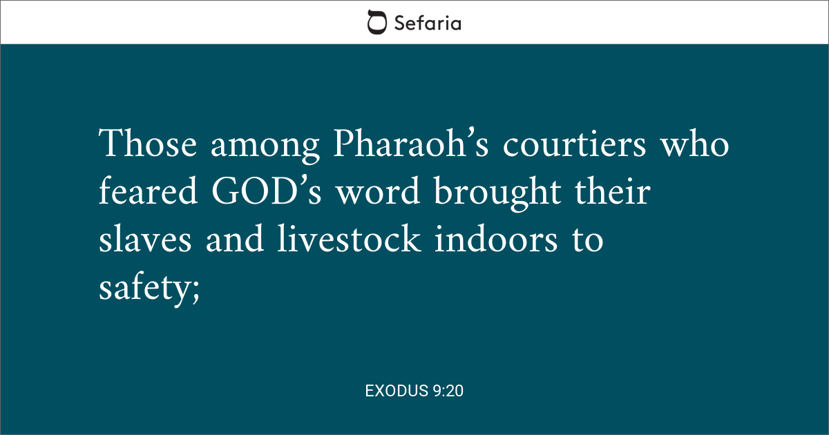 Exodus 9 20
