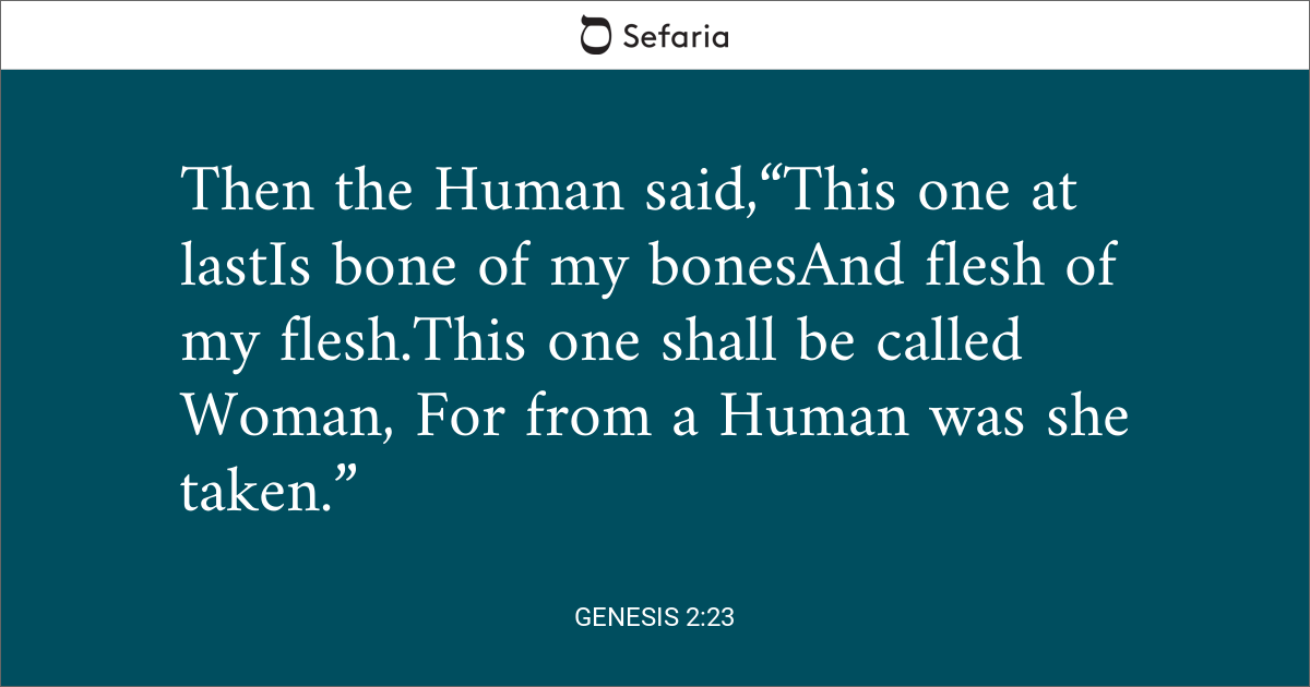 Genesis 2:23 with Sheets