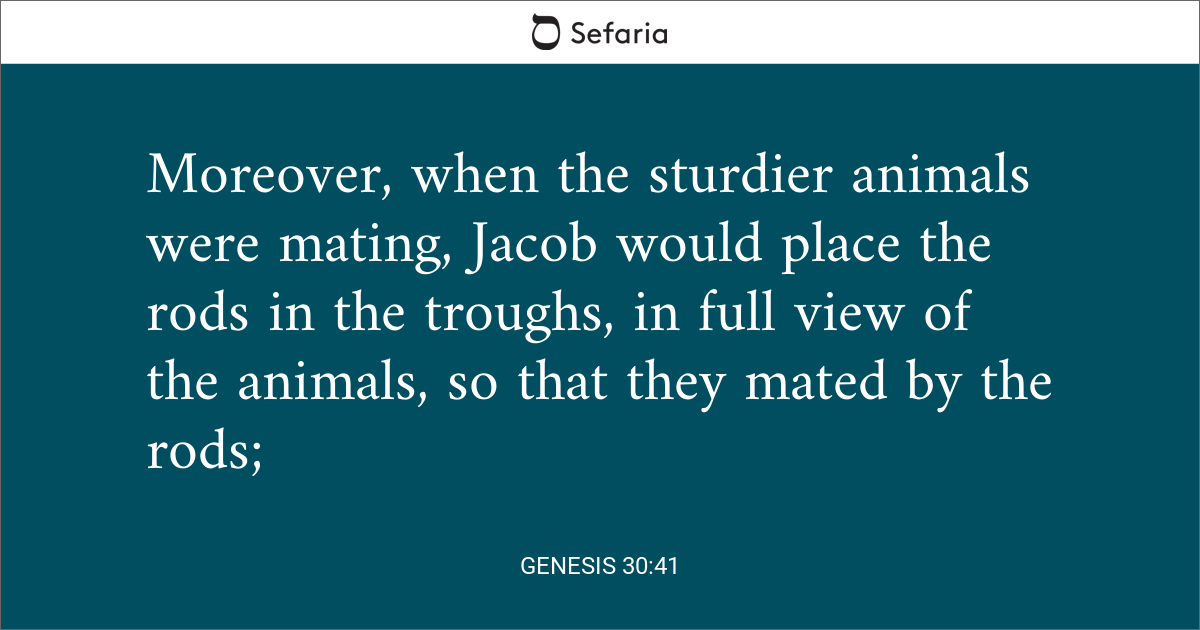 genesis-30-41-sefaria-library