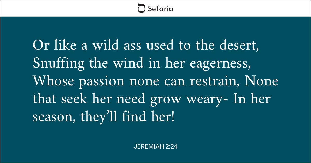 jeremiah-2-24