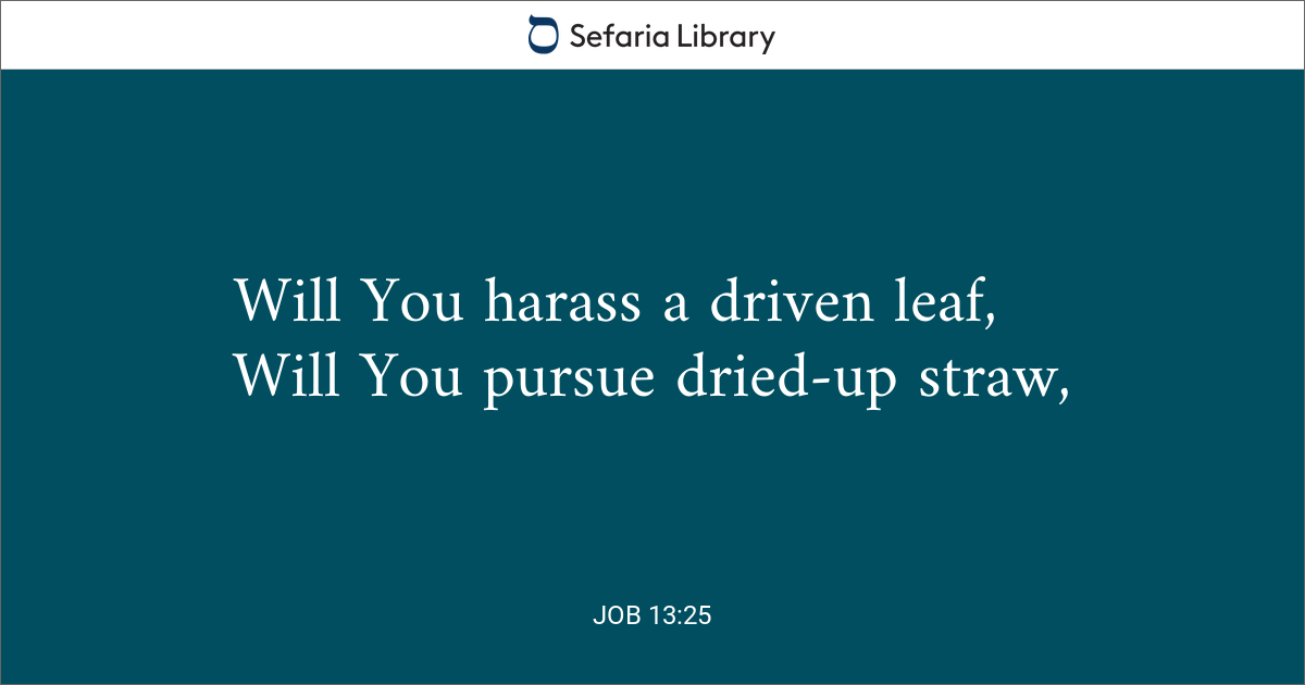 Job 13 25