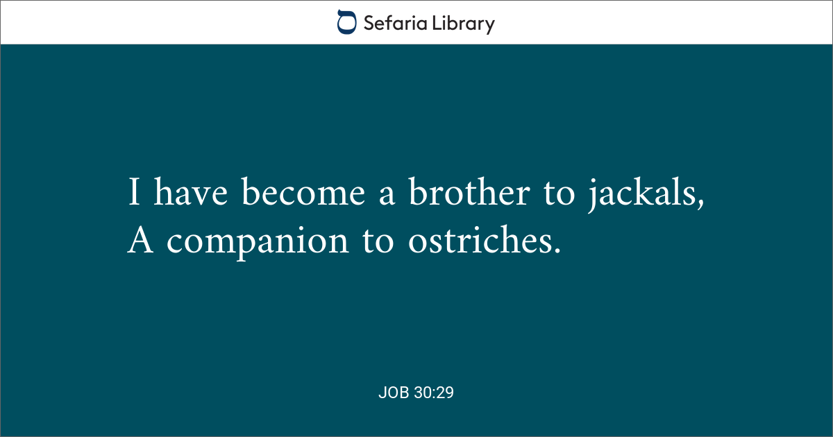 job-30-29