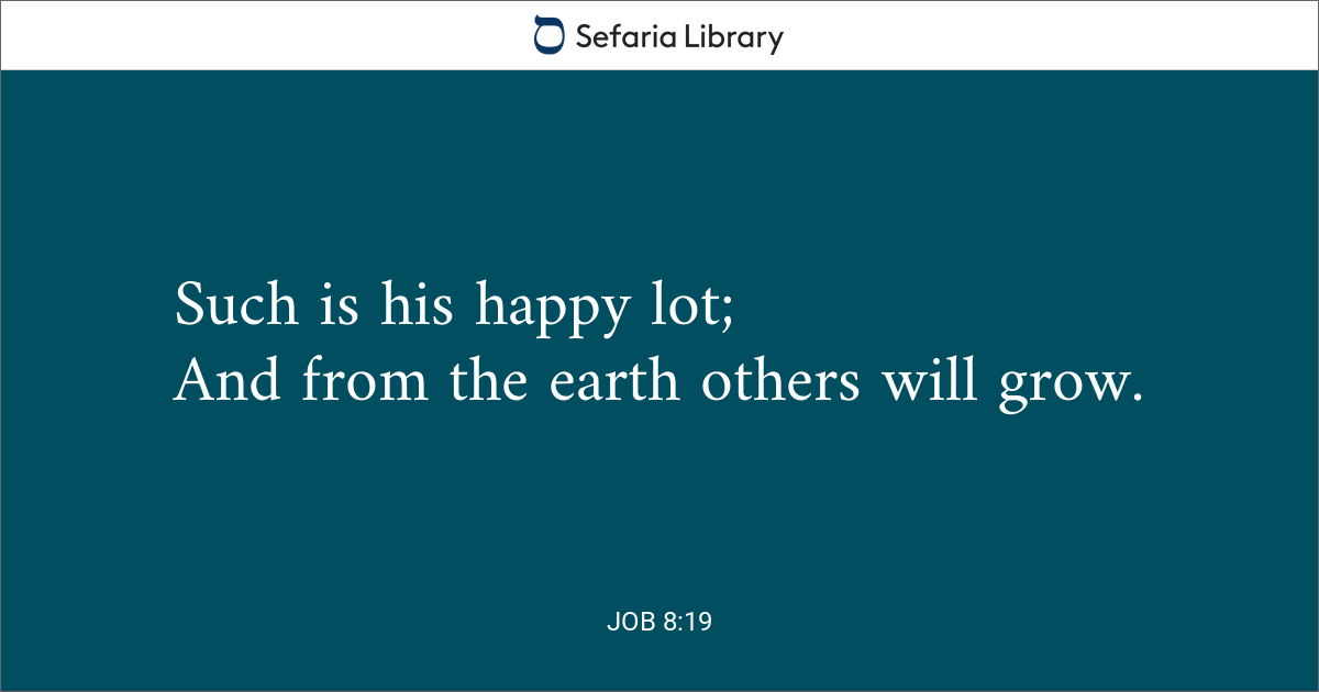 Job 8 19