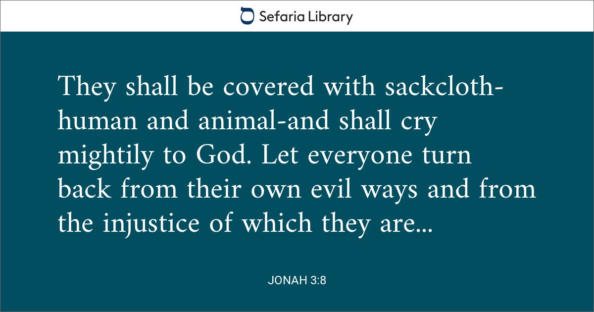 Jonah 3:8