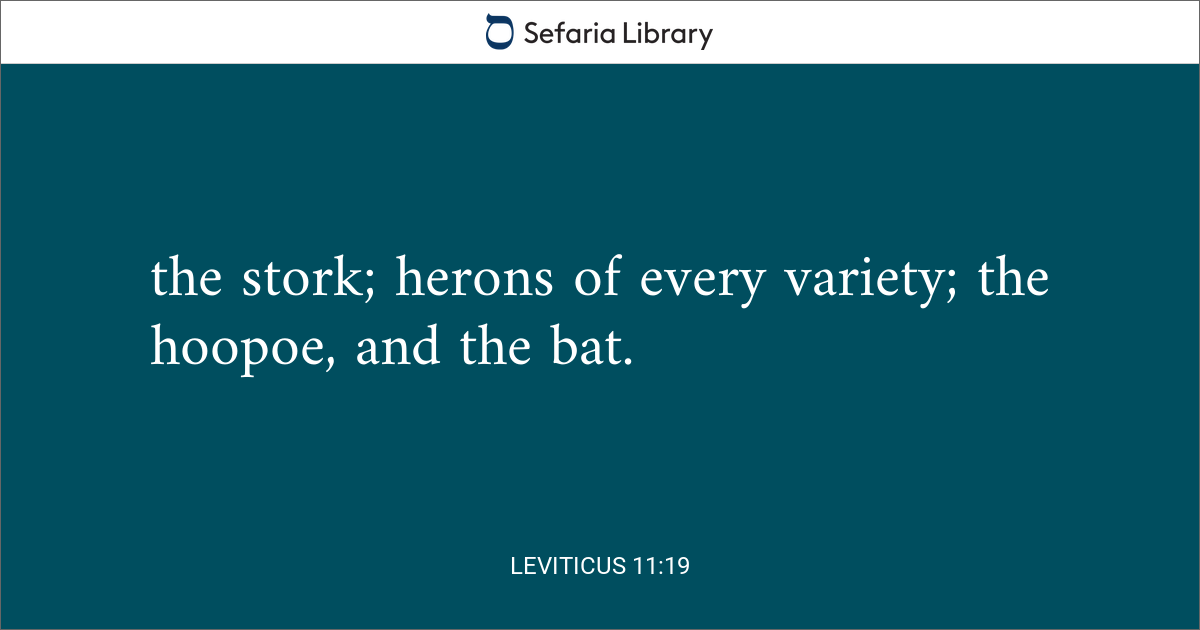 Leviticus 11 19