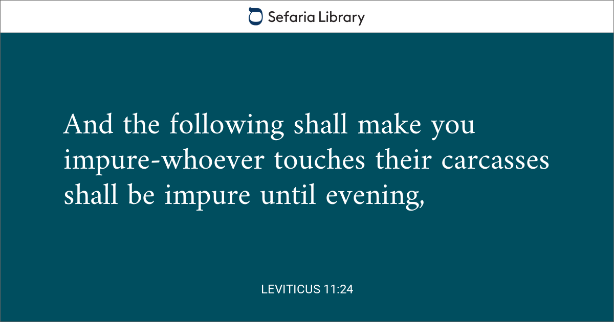 Leviticus 11:24