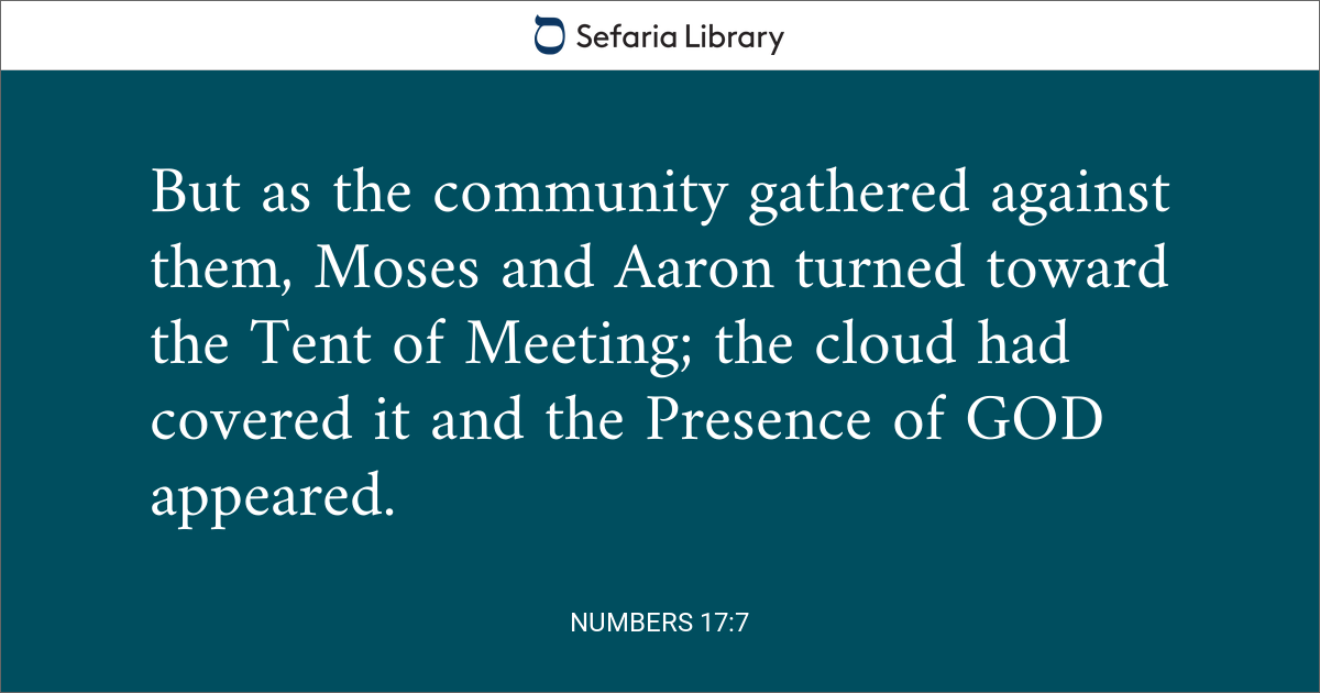 Numbers 17:7