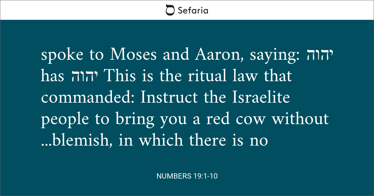 numbers-19-1-10