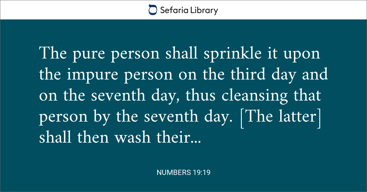 Numbers 19:19 | Sefaria Library