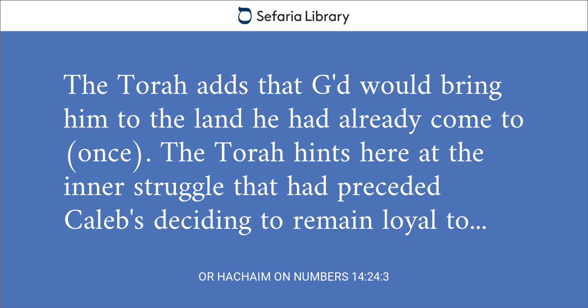or-hachaim-on-numbers-14-24-3