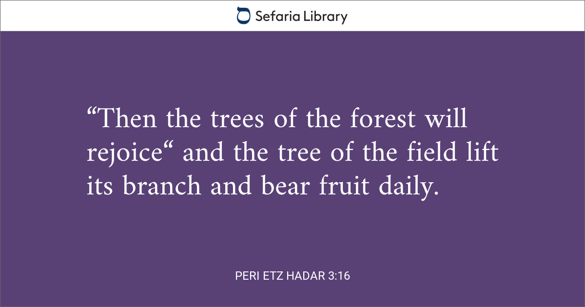 Peri Etz Hadar 3:16 | Sefaria Library