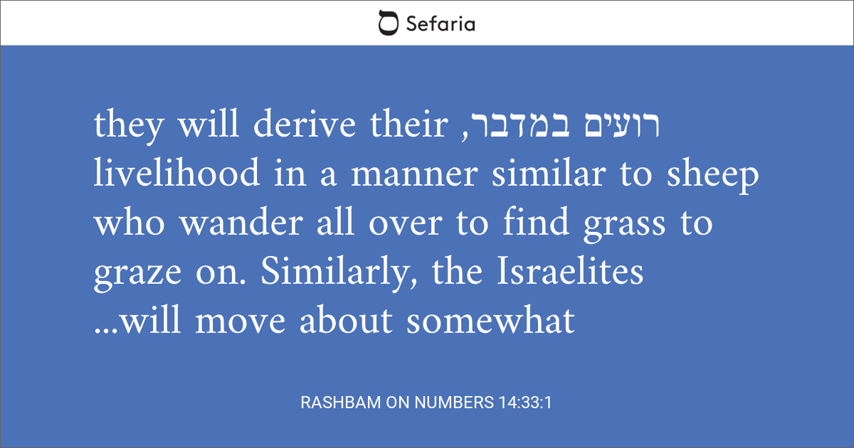 rashbam-on-numbers-14-33-1