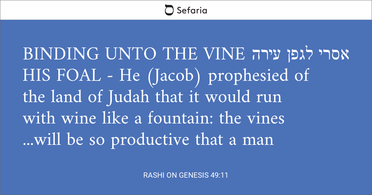 rashi-on-genesis-49-11