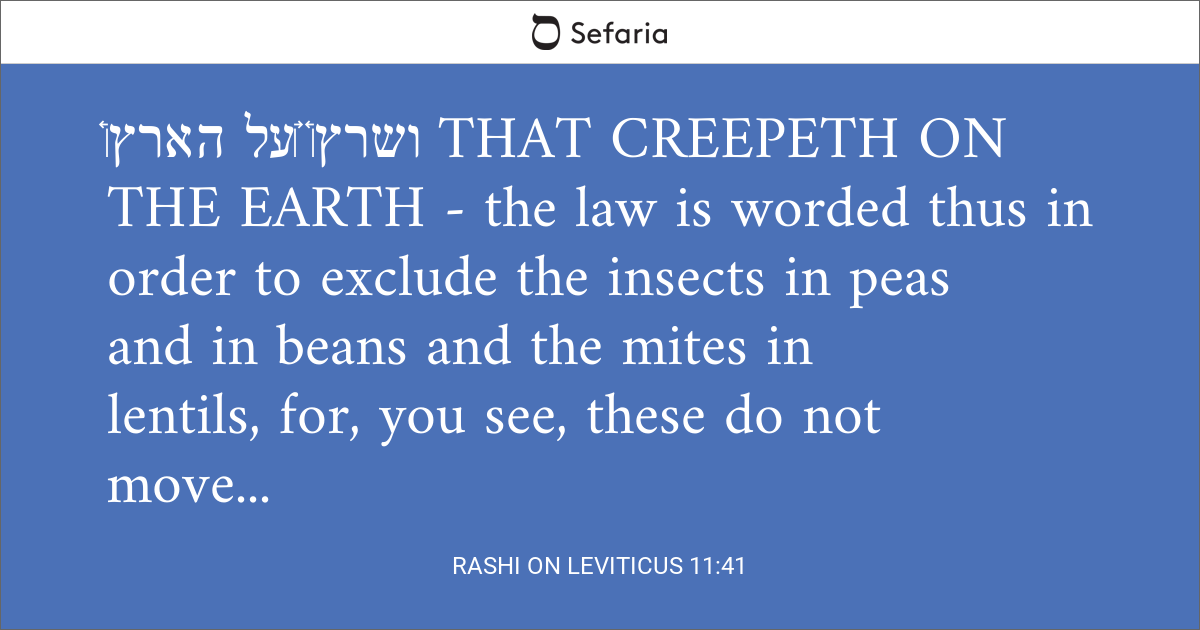 rashi-on-leviticus-11-41