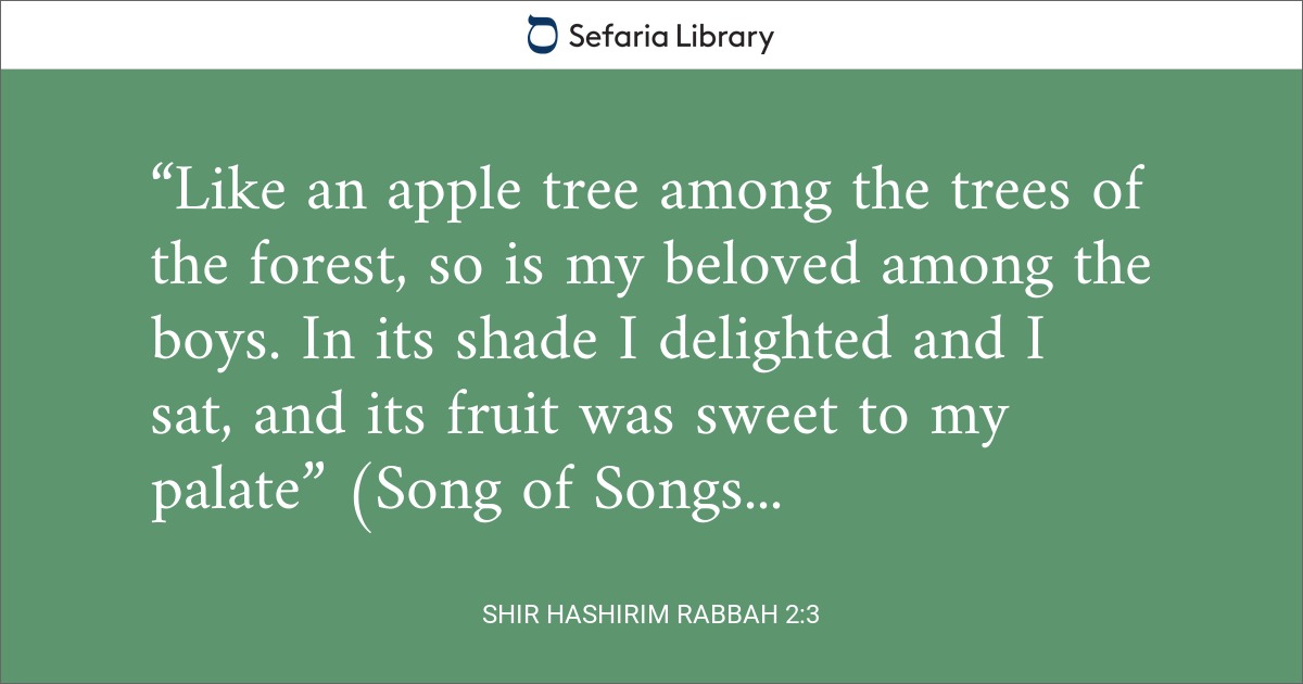 Shir HaShirim Rabbah 2:3